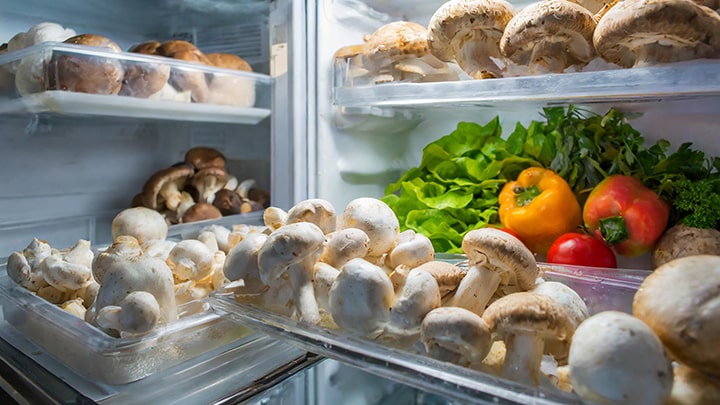 قارچ در یخچال