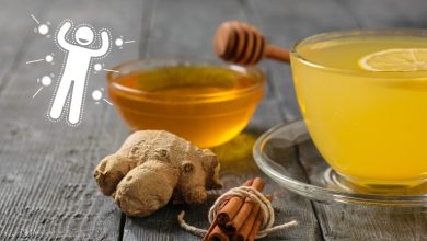 معرفی انواع غذا برای تقویت سیستم ایمنی بدن