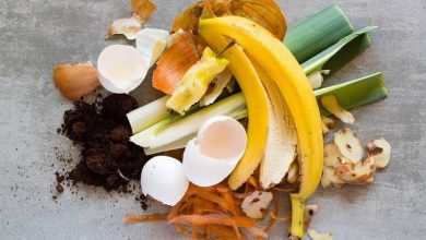 15 تفاله غذایی مفید که بهتره بیرون نریزید!