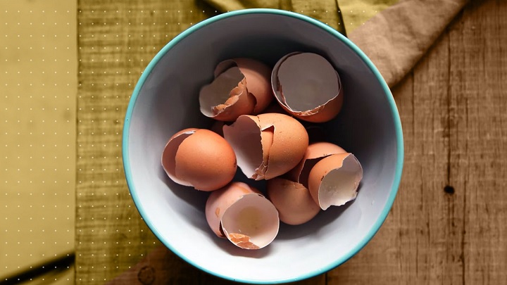 پوست تخم مرغ از تفاله های به درد بخور