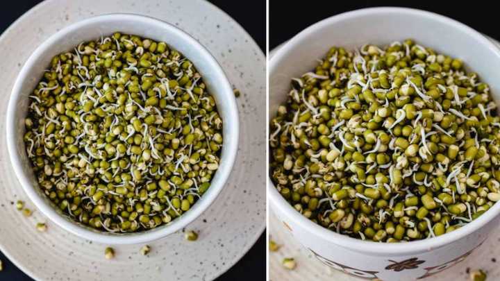 مراحل سبز کردن عدس برای سبزه عید مراحل سبز کردن عدس برای سبزه عید