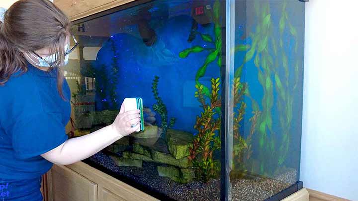 مراحل تمیز کردن آب آکواریوم در خانه