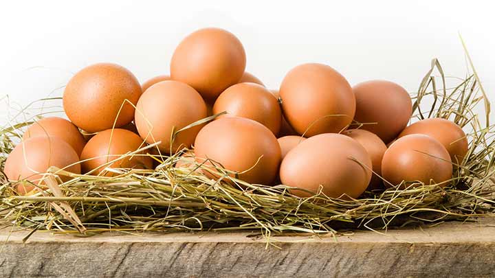 دانستنیهای جالب در مورد تخم مرغ! دانستنیهای جالب در مورد تخم مرغ!