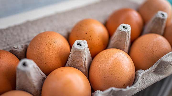 حقایقی درباره تخم مرغ که حیرتزدهتان میکند حقایقی درباره تخم مرغ که حیرتزدهتان میکند