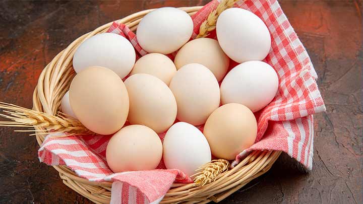چند نکتهی عجیب دربارهی تخم مرغ که نمیدانستید چند نکتهی عجیب دربارهی تخم مرغ که نمیدانستید