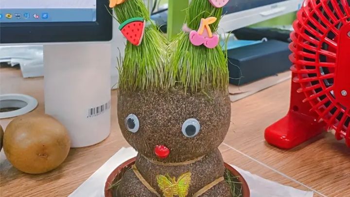 سبزه عید عروسکی با گندم