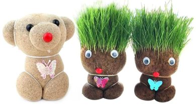 روش آسان کاشت سبزه عید به شکل عروسک