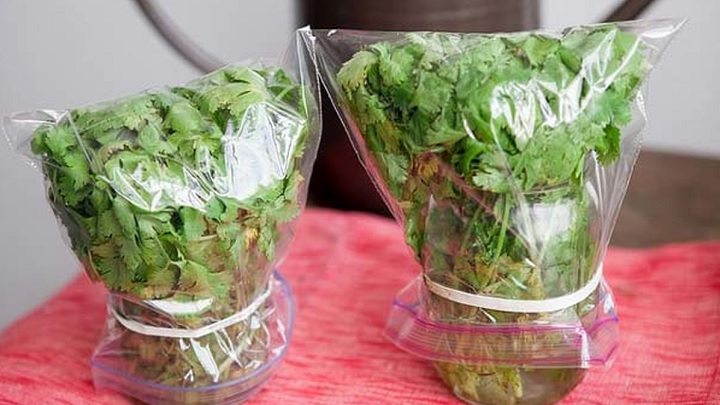 ساقه سبزیجات را داخل آب قرار دهید برای تازه ماندن سبزی خوردن