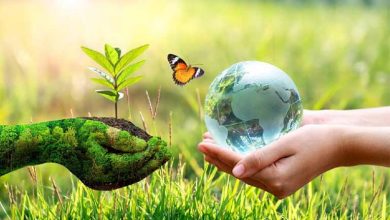 متن و شعر تبریک سیزده بدر