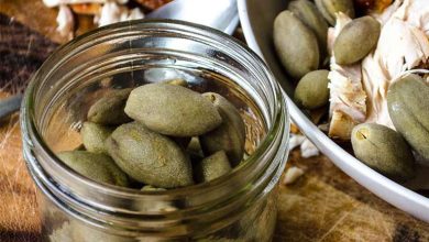 انواع غذاها و چاشنیها با چاقاله بادام