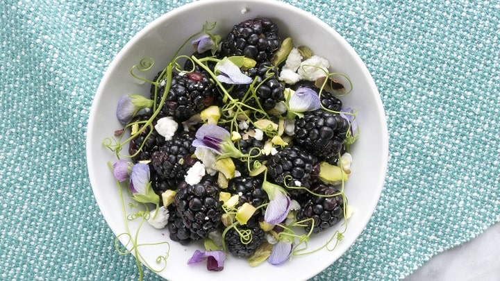 نکات و فوت و فن‌های تهیه سالاد توت سیاه با پنیر
