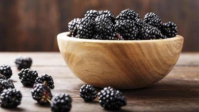 آیا توت سیاه قند دارد؟