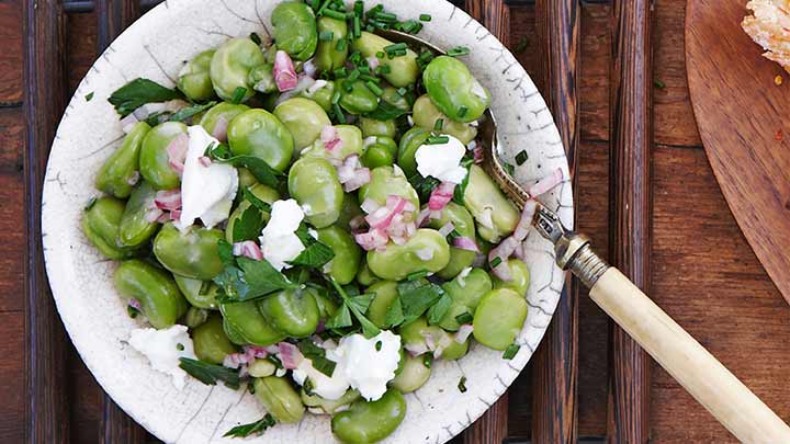 موارد استفاده و منع مصرف باقالی موارد استفاده و منع مصرف باقالی