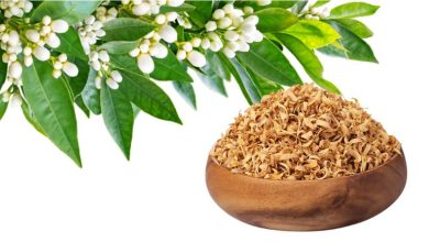 بهترین زمان و طریقه مصرف عرق بهارنارنج