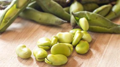 روش خشک کردن باقلا سبز با کیفیت در خانه