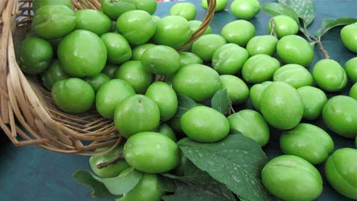 خشک کردن گوجه سبز در آفتاب به صورت طبیعی خشک کردن گوجه سبز در آفتاب به صورت طبیعی