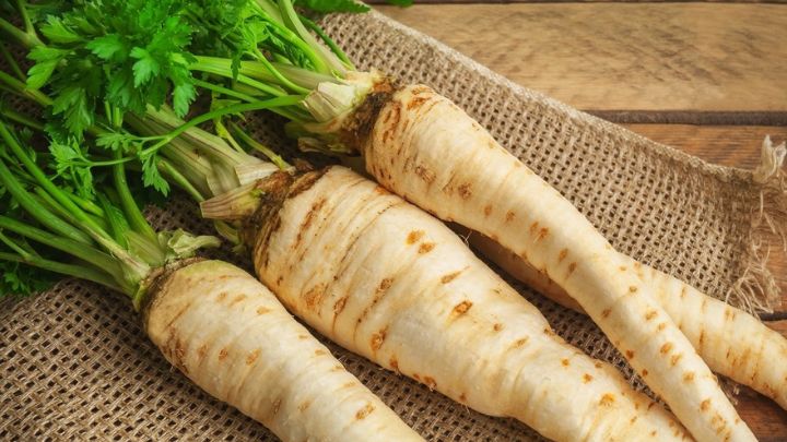 نکات و فوت و فنهای تهیه مربای شقاقل نکات و فوت و فنهای تهیه مربای شقاقل