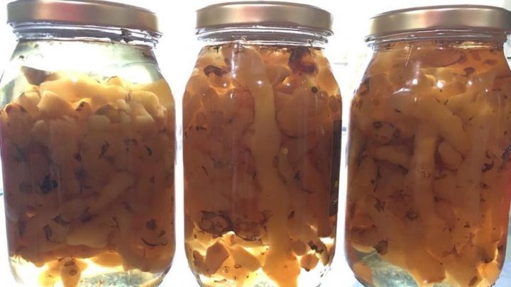 مراحل تهیه مربای شقاقل مراحل تهیه مربای شقاقل