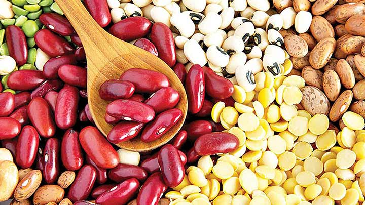 حبوبات از مواد غذایی مغذی برای مقابله با اضطراب