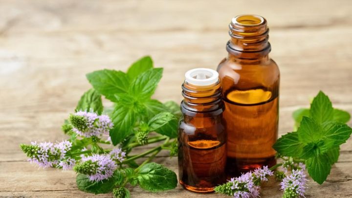 دمنوشهای گیاهی؛ درمان خوراکی برای رفع خلط گلو دمنوشهای گیاهی؛ درمان خوراکی برای رفع خلط گلو