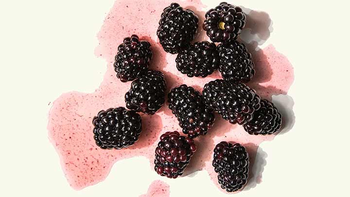 مراحل تهیه ترشی توت سیاه مراحل تهیه ترشی توت سیاه