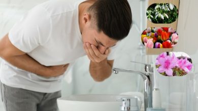 علائم مسمومیت در بهار؛ فصل زیبا اما گاهی خطرناک