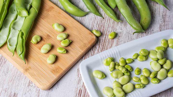 لاغری از خواص مهم باقلا سبز