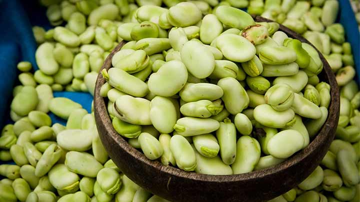 جلوگیری از نقص مادرزادی از خواص مهم باقلا سبز