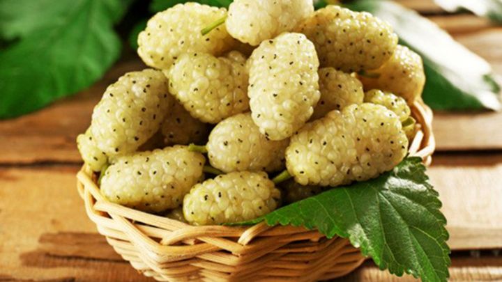 فواید بالقوه توت برای سلامت مو فواید بالقوه توت برای سلامت مو