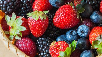 فواید توت برای جلوگیری از آلزایمر