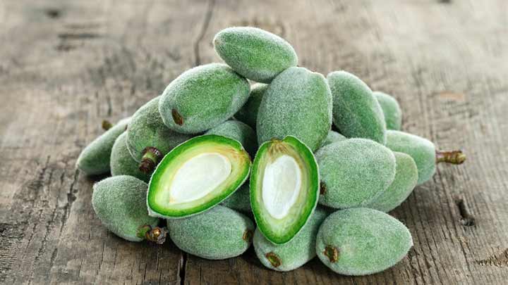 خواص چغاله بادام؛ فواید بادام نارس برای زیبایی پوست