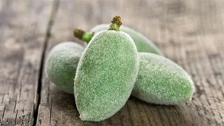 چاقاله بادام و خواص آن برای پوست