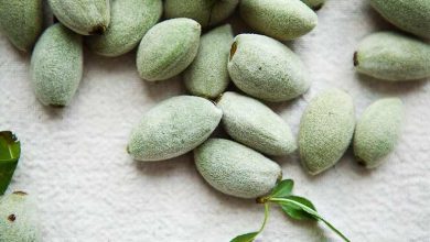 خواص شگفت‌انگیز چاقاله بادام برای لاغری + نکات مربوط به آن