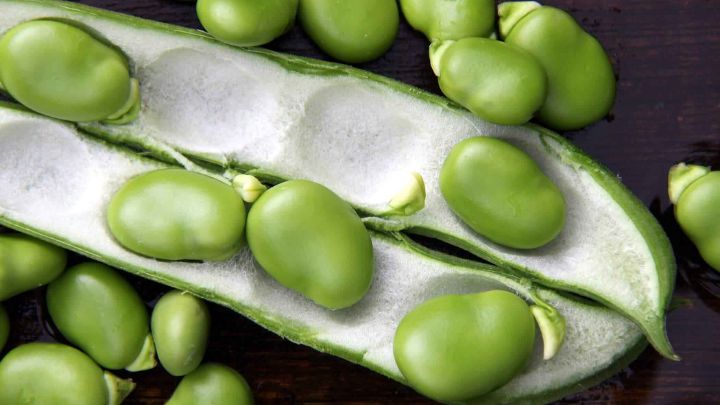 خواص باقلا سبز؛ دانه‌های مغذی و قدرتمند!