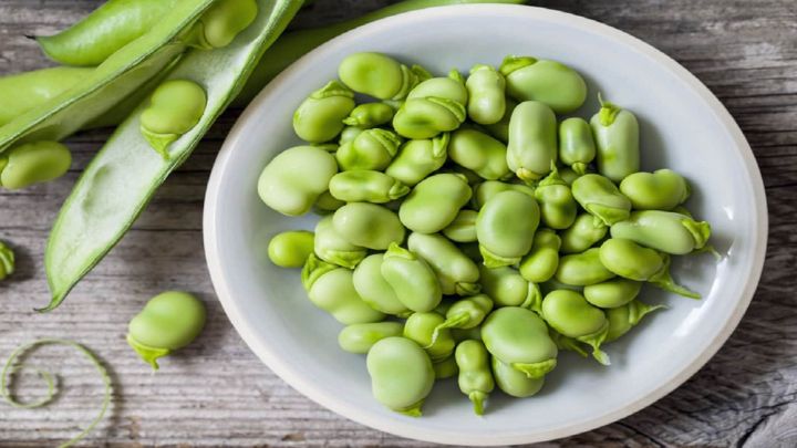 درمان کم خونی از خواص مهم باقلا سبز