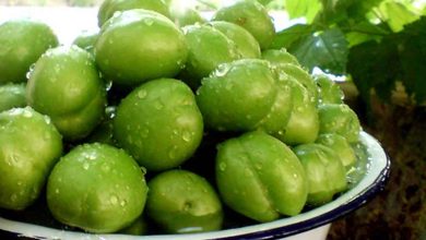 فواید و مضرات خوردن گوجه سبز در دوران بارداری