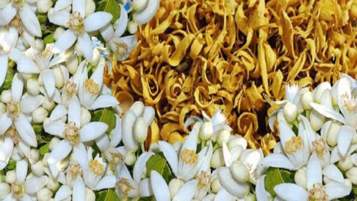 خواص بهار نارنج در درمان یبوست خواص بهار نارنج در درمان یبوست