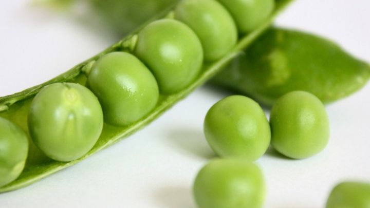 نخودفرنگی سیر کننده و منبع بسیار عالی پروتئین!