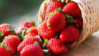خواص مهم توت فرنگی برای سلامتی