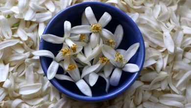 ترفند ساده برای گرفتن تلخی بهار نارنج