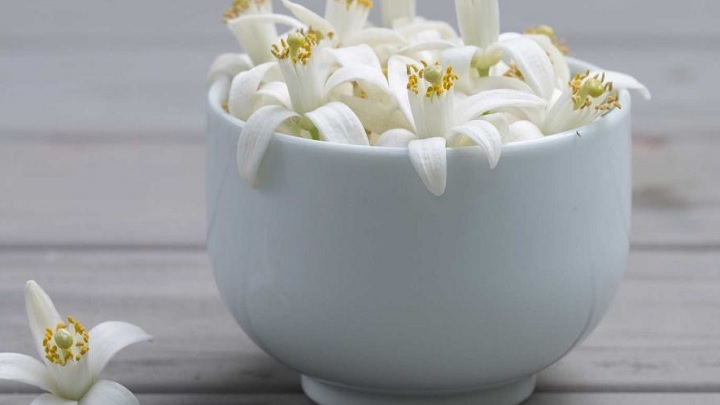 از بین بردن تلخی بهار نارنج با آب از بین بردن تلخی بهار نارنج با آب