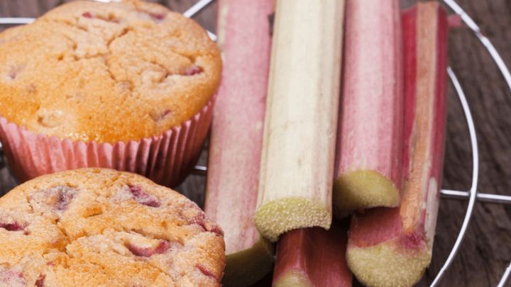 طرز تهیه مافین ریواس و عسل طرز تهیه مافین ریواس و عسل