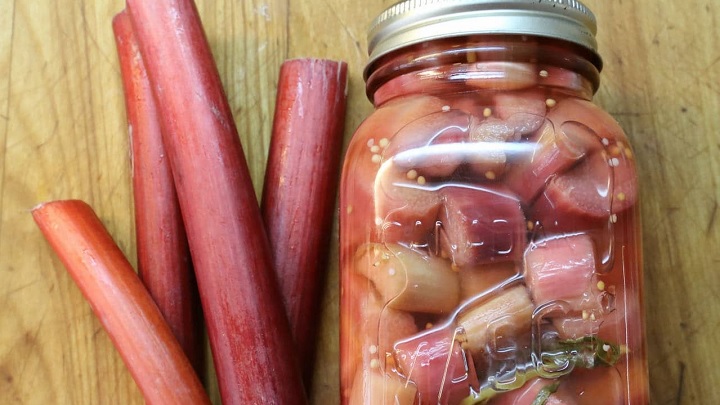 نکات و فوت و فن‌های طرز تهیه ترشی ریواس