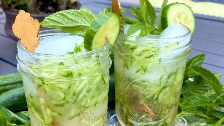 طرز تهیه شربت سکنجبین و خیار 