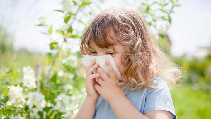 درمان آلرژی بهاری در طب سنتی