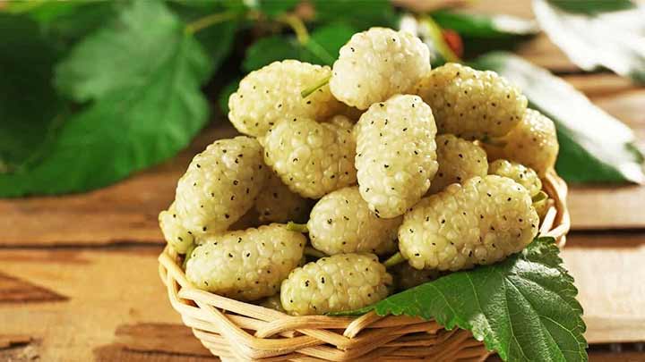 مقایسه تفاوتهای توت سیاه و سفید مقایسه تفاوتهای توت سیاه و سفید