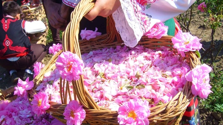 ملانین؛ بازیگری کلیدی در رنگ پوست ملانین؛ بازیگری کلیدی در رنگ پوست