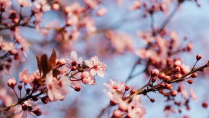 گاستروانتریت از بیماریهای شایع فصل بهار گاستروانتریت از بیماریهای شایع فصل بهار