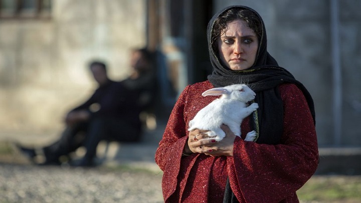 تی تی از برترین فیلمهای عاشقانه ایرانی تی تی از برترین فیلمهای عاشقانه ایرانی