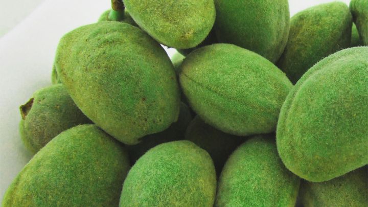 تفاوت چاقاله بادام و زردآلو 